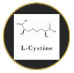 L-Cystine là thành phần quan trọng trong Nine's beauty