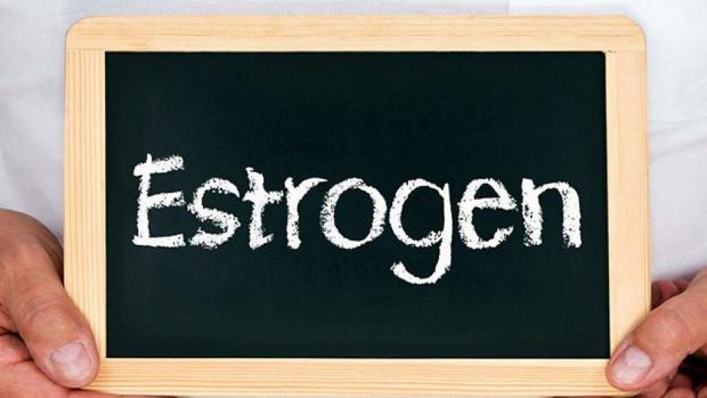 Estrogen là nguyên nhân phát sinh bệnh u xơ tử cung
